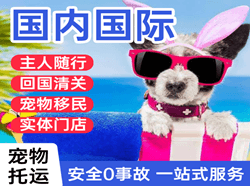 衢州航空运输国际宠物托运 【国